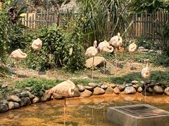 -昆明动物园