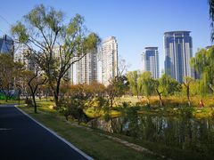 -西北湖绿化广场