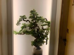 -梅间堂茶馆(绿地缤纷城店)