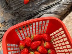 -万源龙顺度假庄园生态观光园