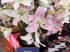 -长安记·大美陕菜(大族广场店)