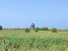 -野鸭湖国家湿地公园