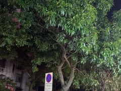 -东记炭炉·海鲜鸡煲(龙华店)