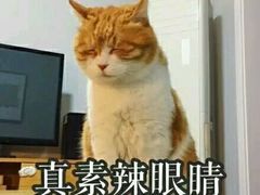 -1点点(东方宝泰店)