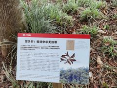 -中国科学院西双版纳热带植物园