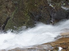 -藏龙百瀑风景区