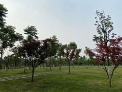 -眉山湿地公园(东坡区)