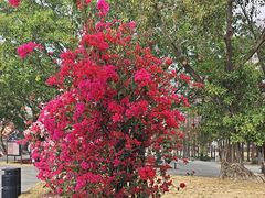 -赤坎·广东华侨国际旅游度假区