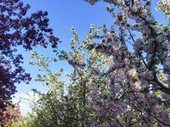 -元大都城垣遗址公园