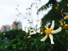 -观澜湖旅游度假区