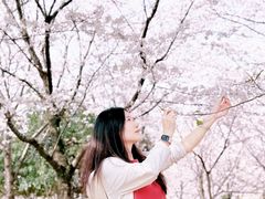 -堤角公园