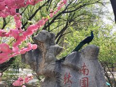 -北京麋鹿生态实验中心