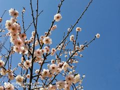 -北京鹫峰国家森林公园