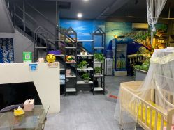 -Am私人订制美发造型