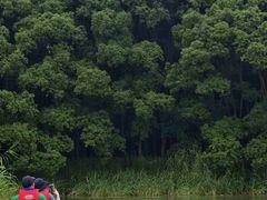-动邦皮划艇·桨板·独木舟·团建户外运动俱乐部