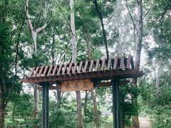 -御林古桑园