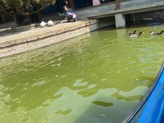 -团结湖公园