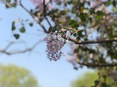 -郭守敬纪念馆