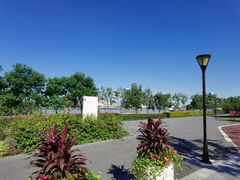 -上海山野camping·户外天幕烧烤·团建拓展营地
