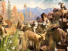 -陕西自然博物馆