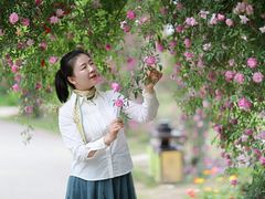 -鹅湖玫瑰文化园