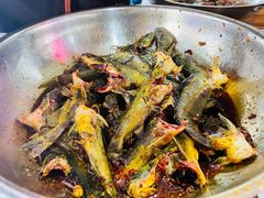 三角峰-金海椒罐罐鲢鱼(东方桂苑店)