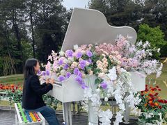 -铁山坪森林公园