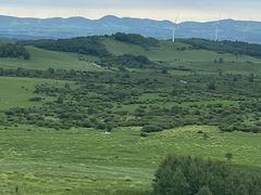 -塞罕坝国家级自然保护区