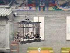 -北京古城老院厉晓麟精致菜