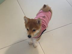 -怪兽屋·羊驼·猫咖·狗咖(俊华广场店)