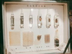 有年代的蜂蜜礼品盒-甜心闲生传统手工冰粉(奎星楼店)