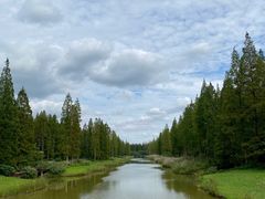 -黄海国家森林公园