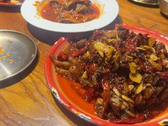 -柴窝堡22号辣子鸡·传承新疆菜