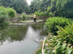 -成都市活水公园
