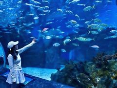 -海合安成都极地海洋公园