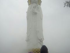 -白洋淀景区