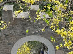 -北京鹫峰国家森林公园