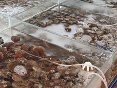 -阔澜蒸汽海鲜自助