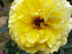 -人民公园(罗湖区)