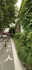 -中国福利会国际和平妇幼保健院(徐汇院区)