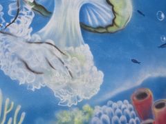 -多彩贵州城极地海洋世界