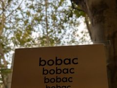 -BOBAC