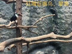 -武汉动物园