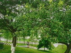 -东莞植物园