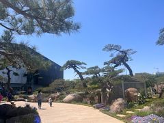 -罗红摄影艺术馆