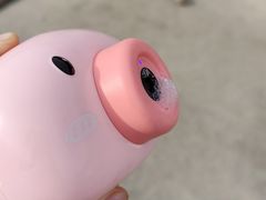 -西塘人家•黑金冠本地好店
