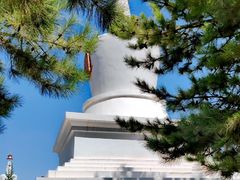 -凉州白塔寺景区
