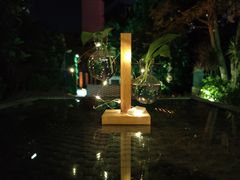 -深圳星河丽思卡尔顿酒店