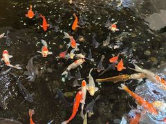 -广东大厦酒店(广州北京路步行街纪念堂地铁站店)