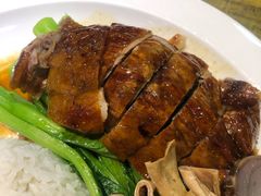 -初心烧鹅(粤华店)